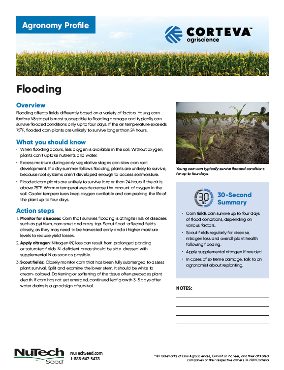 Flooding