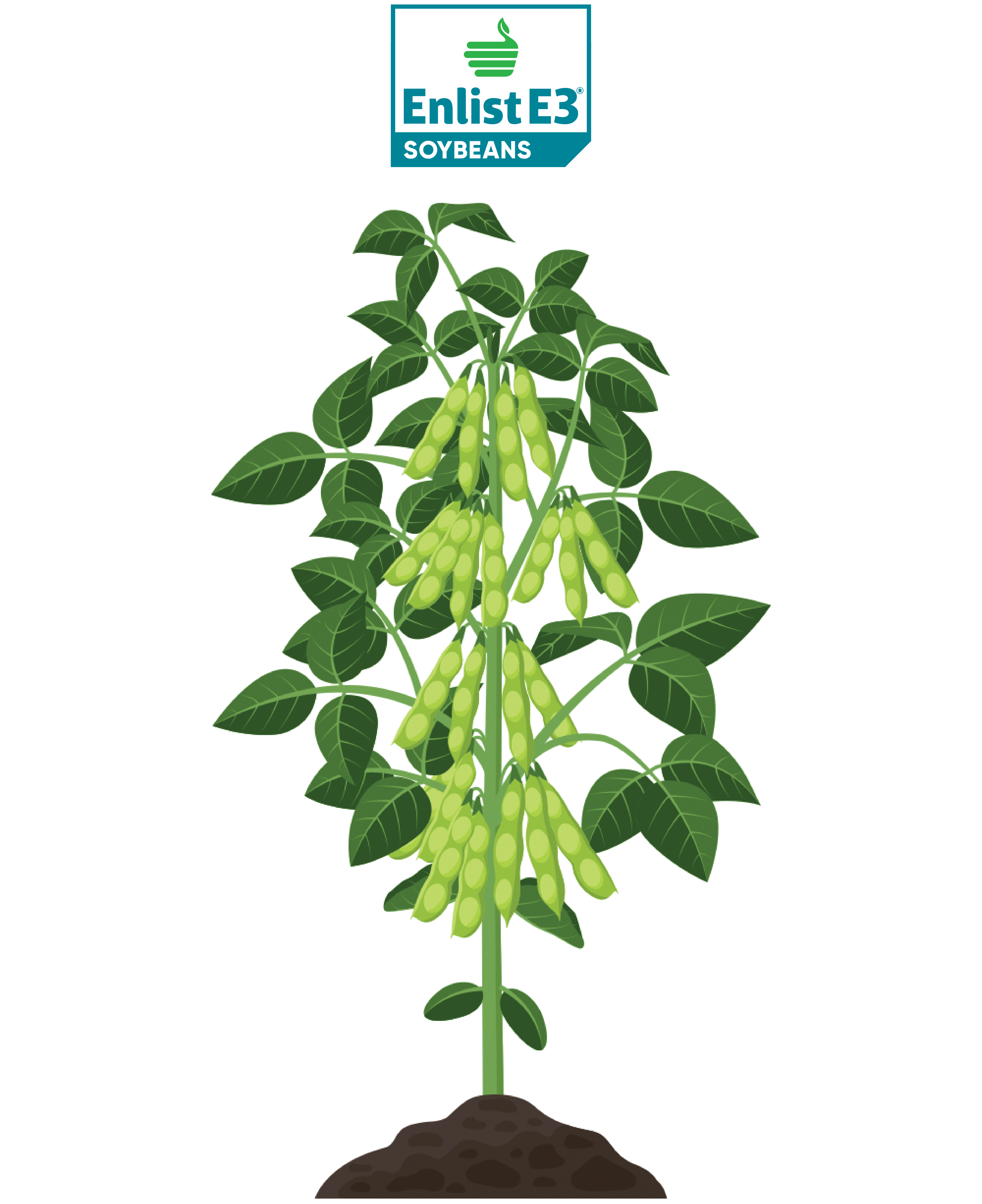 Benefits of Enlist E3 Soybeans graphic